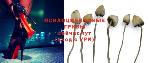 мяу мяу мука Абдулино