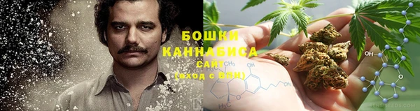 ГАЛЛЮЦИНОГЕННЫЕ ГРИБЫ Абинск
