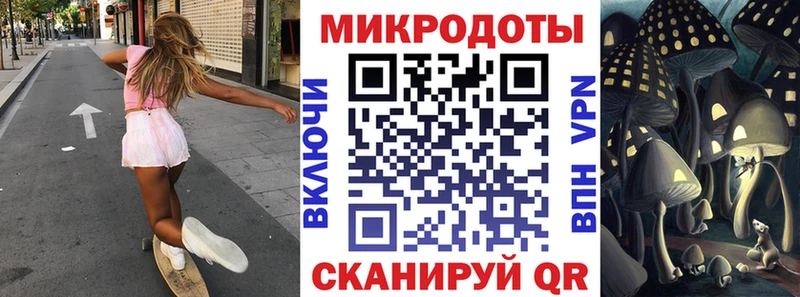 что такое Балаково Псилоцибиновые грибы Psilocybine cubensis